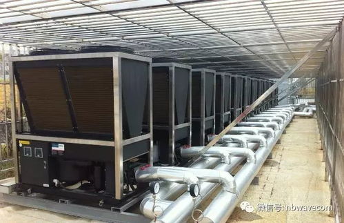 又一國(guó)家級(jí)競(jìng)賽池 博浪空氣能恒溫泳池設(shè)備助力云南省運(yùn)會(huì)