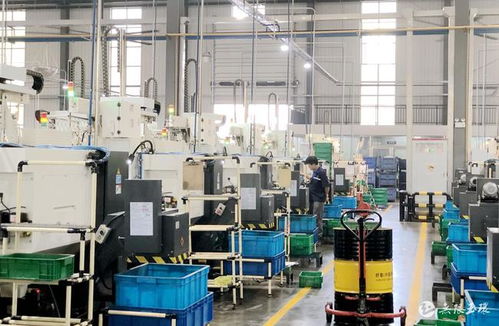 玉商本色，逐浪前行——玉環工程機械產業搶抓機遇拓市場、趁勢而上穩增長