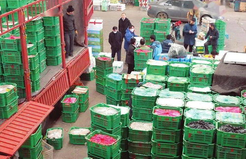 太原河西農副產品市場 菜籃子貨豐價穩，保障民生供給