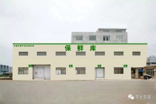 萬眾期待，終于等到你——華西農副產品交易中心水果區(qū)9月18日盛大開業(yè)