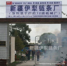 新疆伊犁鏈條廠 立足邊疆，服務農業的鏈條專家