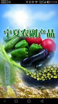 寧夏農(nóng)副產(chǎn)品“下載”指南 特色、渠道與品牌數(shù)字化之路