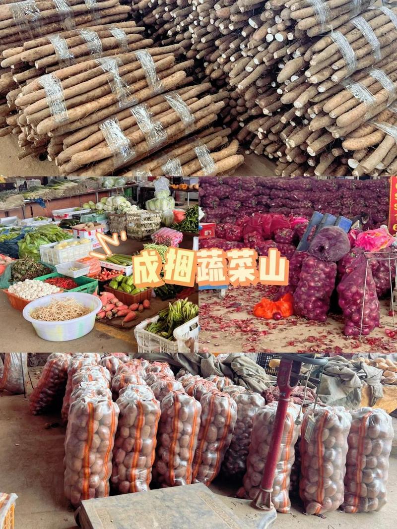 成都市民的“菜籃子”與“果盤子”——探訪沙西農(nóng)副產(chǎn)品批發(fā)市場